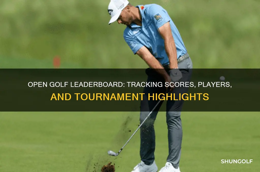 is open golf leaderboard
