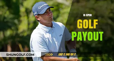Exploring the Open Golf Championship Prize Money Distribution