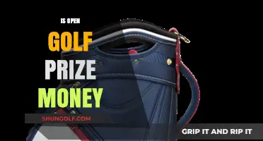 Exploring the Open Golf Championship's Prize Money Distribution