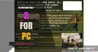 Outlaw Golf 2: PC Port?