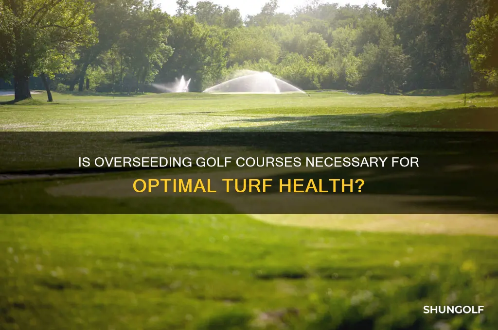 is overseed of golf course necessary