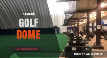 Golfing at the Dome: Is It Worth It?