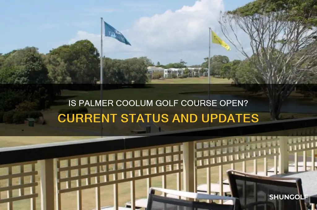 is palmer coolum golf course open