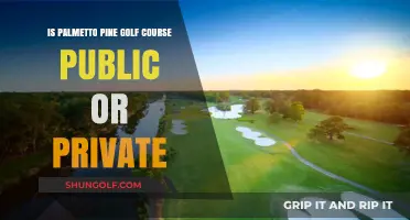 Is Palmetto Pine Golf Course Public or Private? Unveiling Access Details