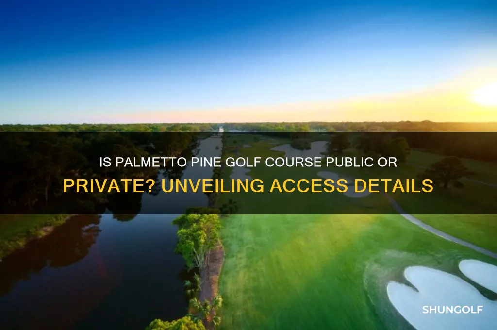 is palmetto pine golf course public or private
