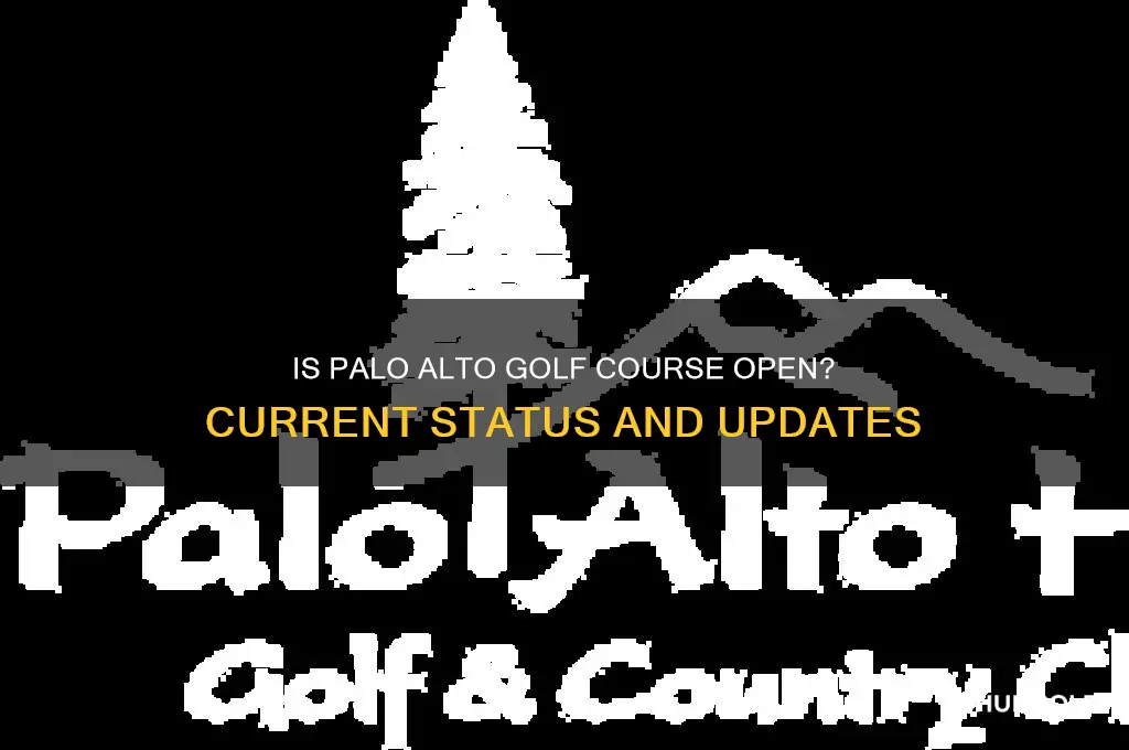 is palo alto golf course open