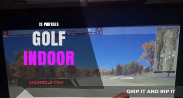 Golfing Indoors: ParTee's Unique Approach