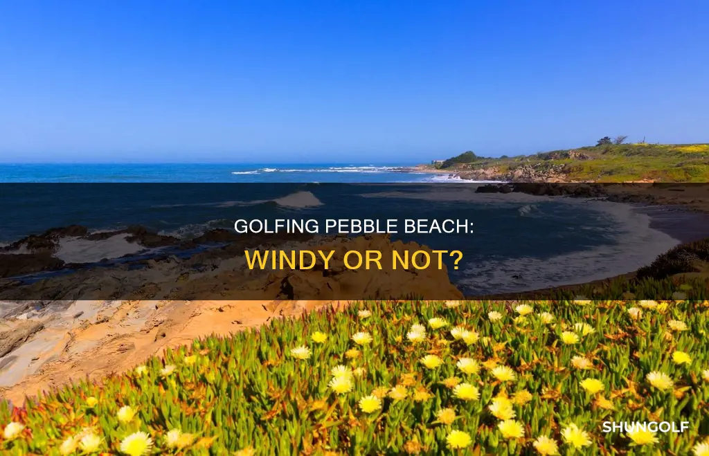 is pebble beach golf windy