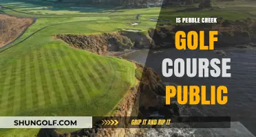 Is Pebble Creek Golf Course Public? Exploring Access and Membership Details