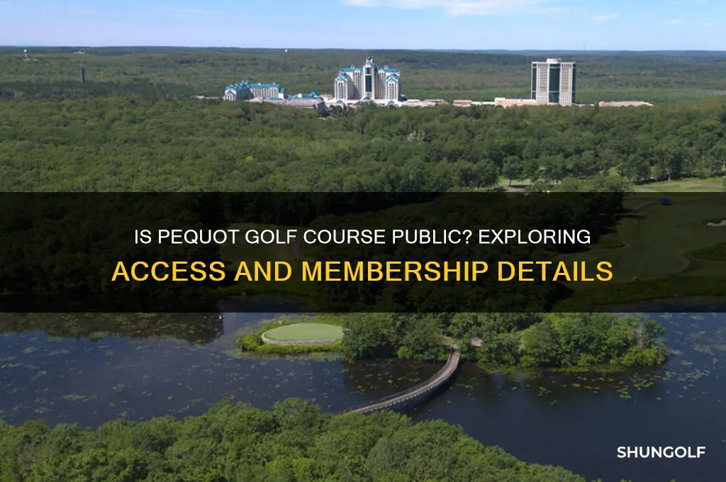 is pequot golf course public