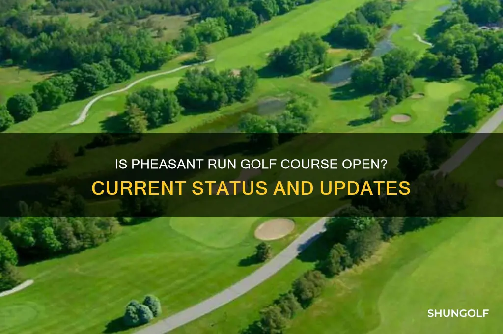 is pheasant run golf course open