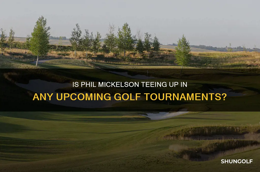 is phil michelson playin in any golf tourney