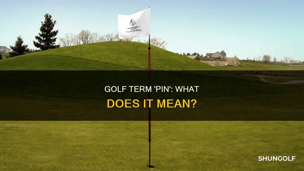 is pin a golf term