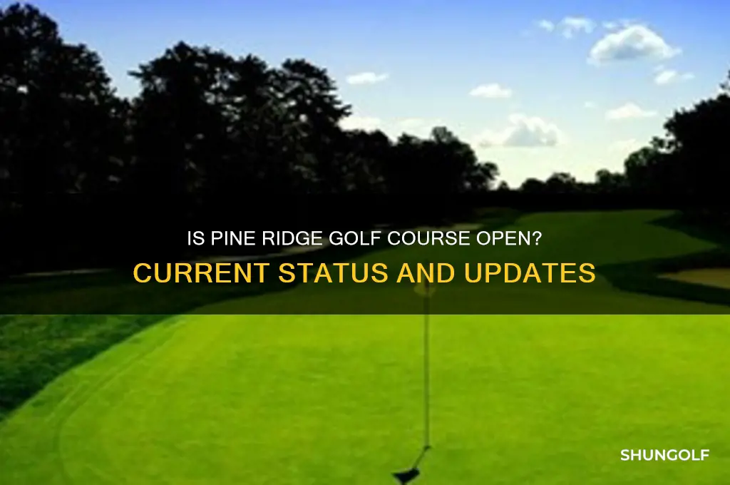 is pine ridge golf course open