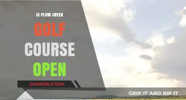 Is Plum Creek Golf Course Open? Current Status and Updates