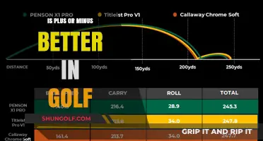 Plus or Minus in Golf: Which Scoring System Enhances Your Game?
