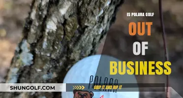 Polara Golf: Is the Business Still in the Game?