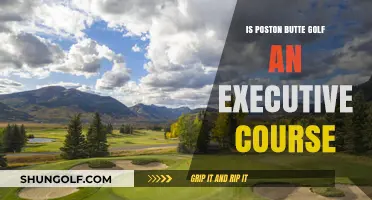 Exploring Poston Butte Golf: Executive Course or Full-Length Challenge?
