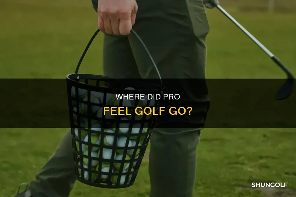 is pro feel golf gone
