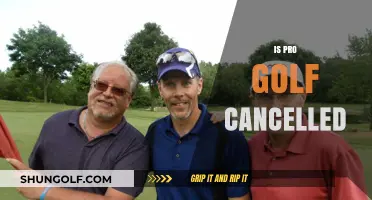 Golf's Future: Cancelled or Course Correction?