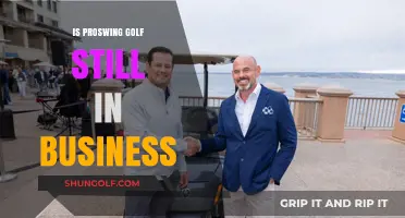 ProsWing Golf: Is the Business Still Swinging?