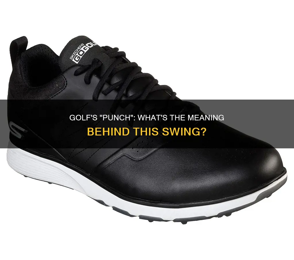 is punch a golf term