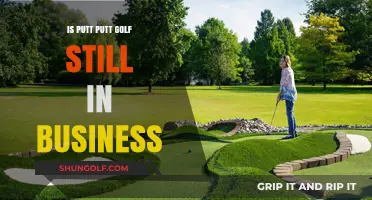 Is Putt Putt Golf Still Thriving in Today's Entertainment Landscape?