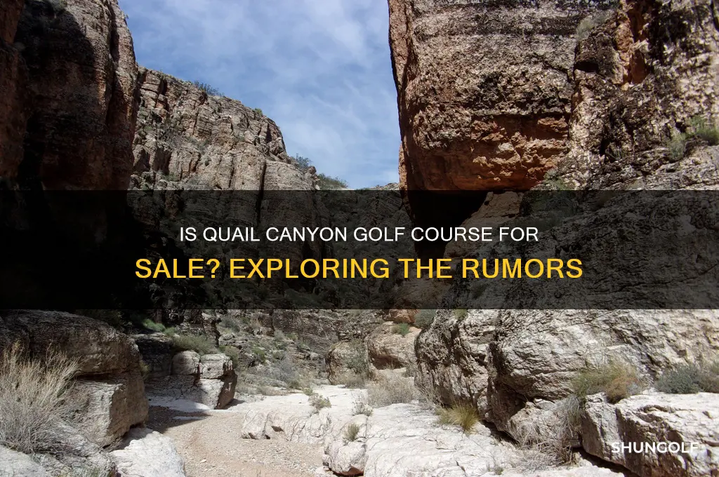 is quail canyon golf course for sale