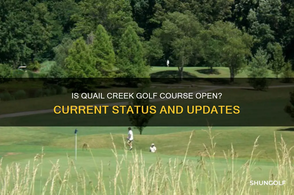 is quail creek golf course open