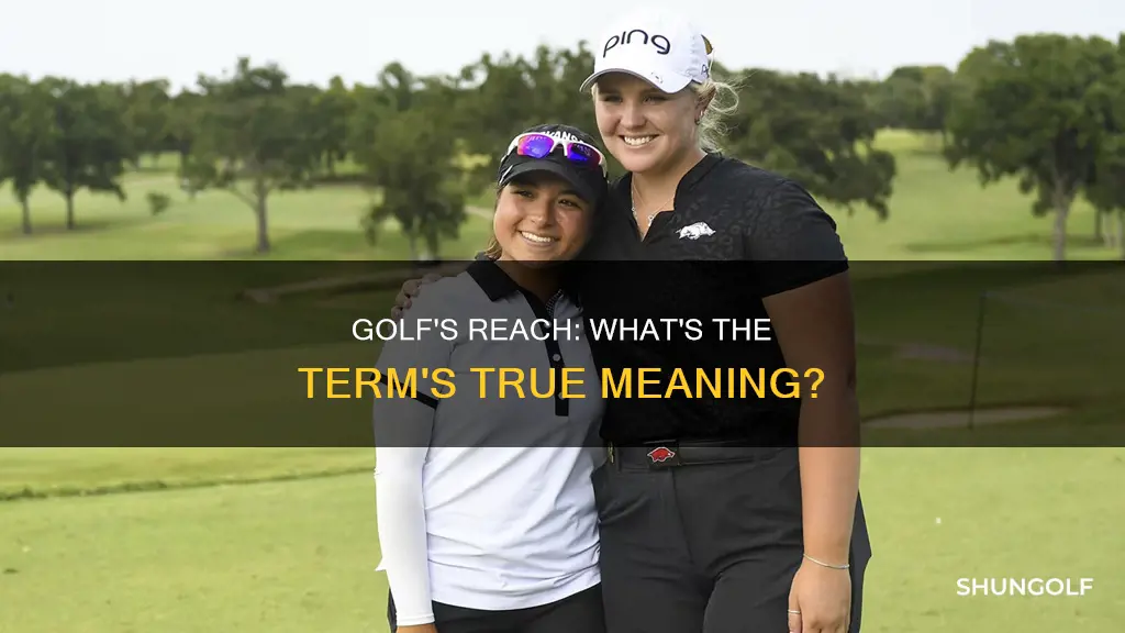 is reach a golf term