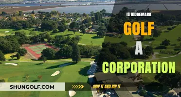 Golf Corporation: Is Ridgemark a Business?