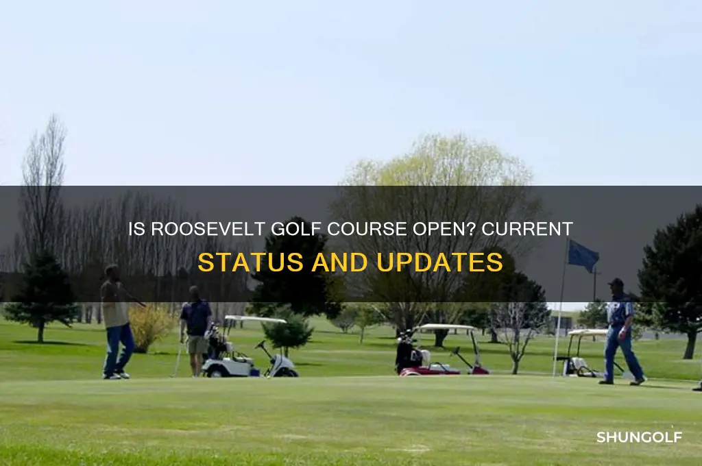 is roosevelt golf course open