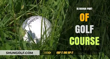 Is the Rough a Golfer's Foe or Fair Challenge on the Course?