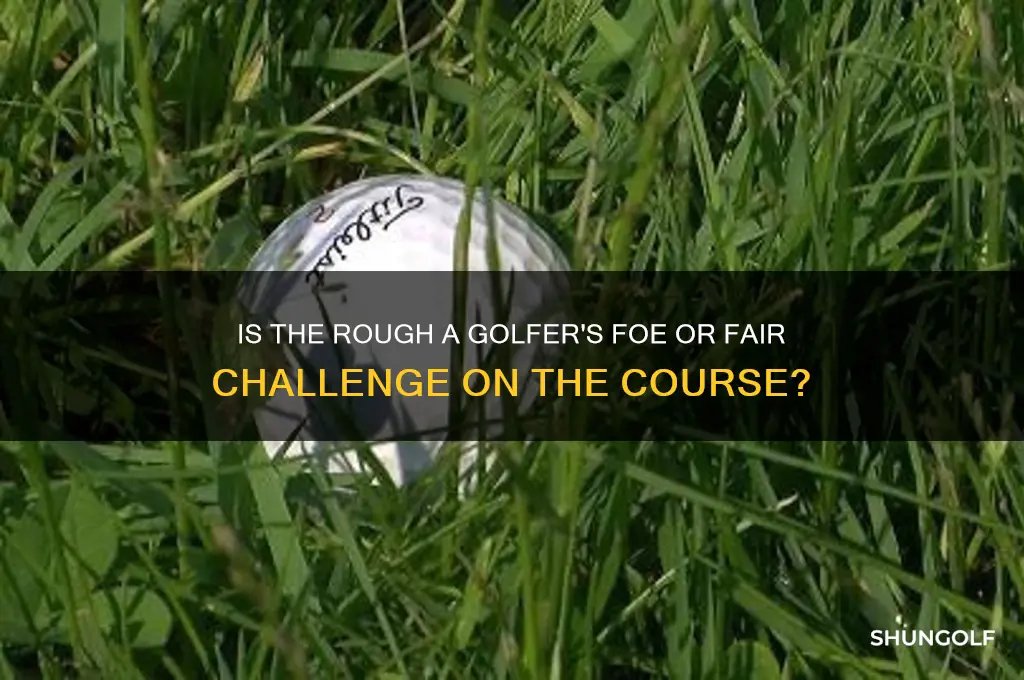 is rough part of golf course