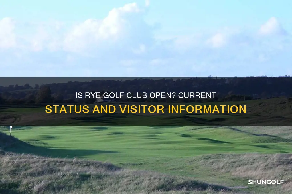 is rye golf club open