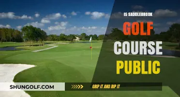 Is Saddlebrook Golf Course Public? Exploring Access and Membership Details