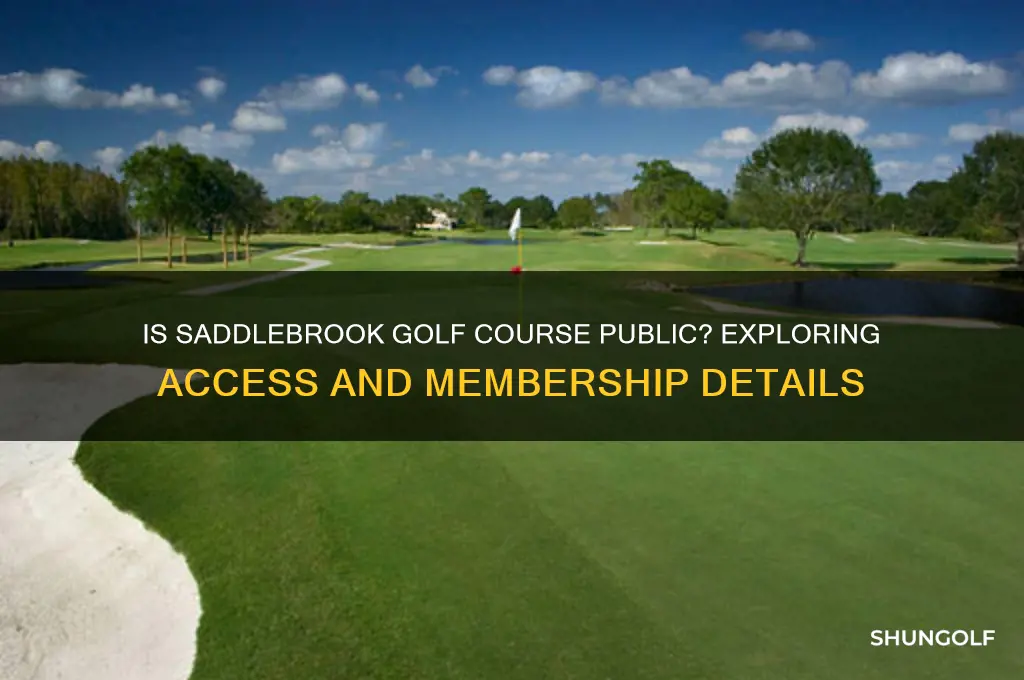 is saddlebrook golf course public