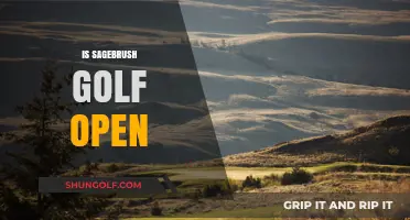 Is Sagebrush Golf Open? Current Status and Updates for Golfers