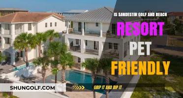 Is Sandestin Golf and Beach Resort Pet-Friendly? A Guide for Pet Owners