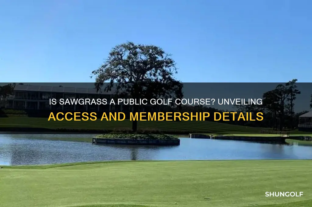 is sawgrass a public golf course