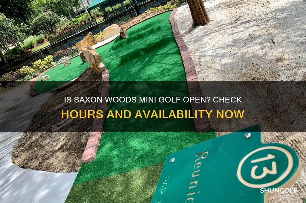 is saxon woods mini golf open