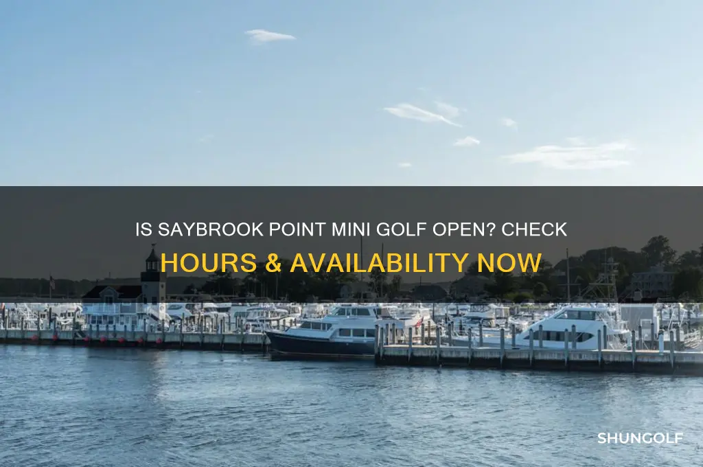 is saybrook point mini golf open