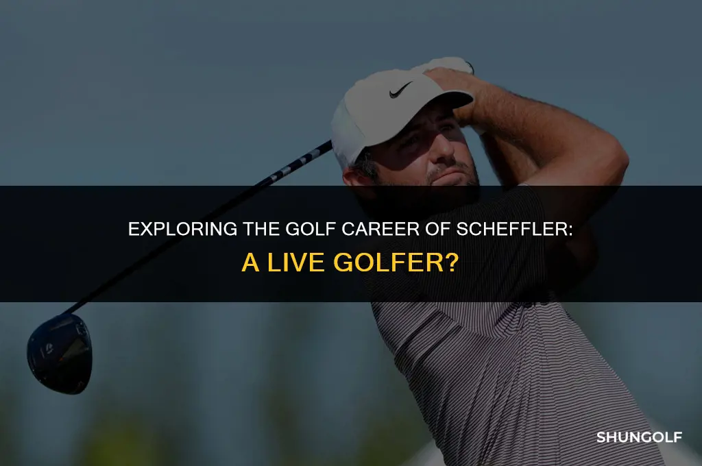 is scheffler a liv golfer