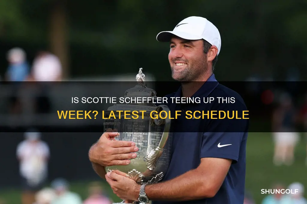 is scottie scheffler playing golf this week