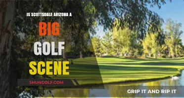 Scottsdale, Arizona: A Golfer's Paradise or Overhyped Destination?