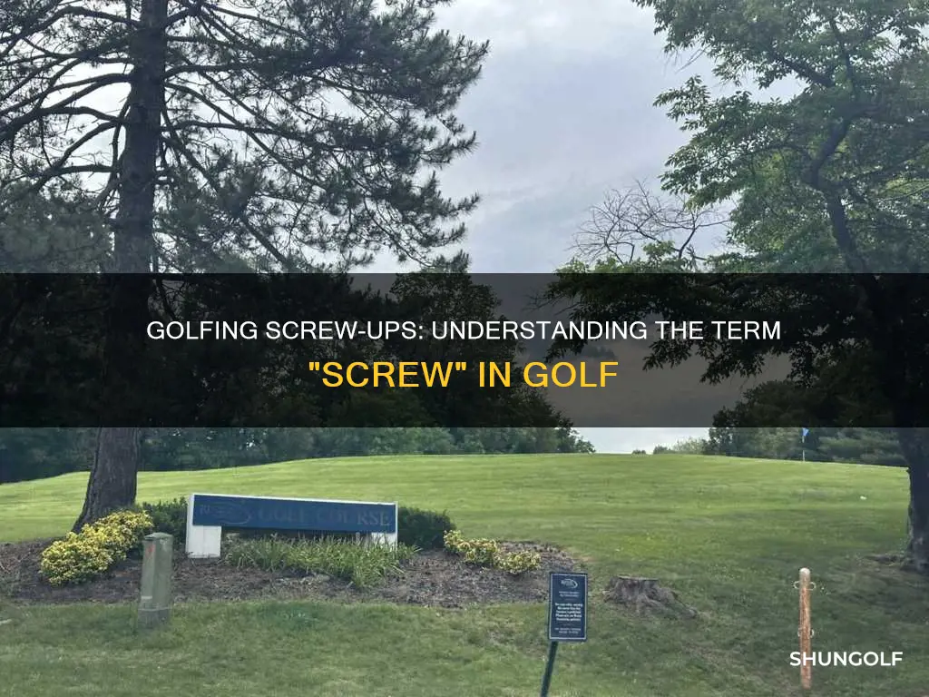 is screw a golf term