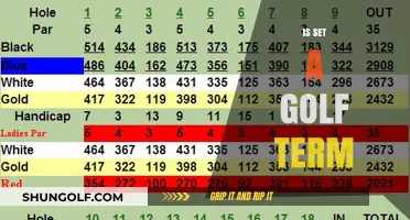 Golf's "Set" Term: What You Need to Know