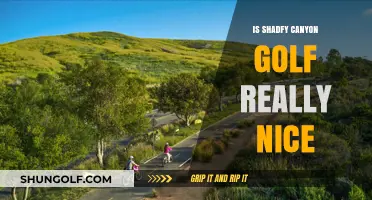 Shady Canyon Golf: A Golfer's Paradise?