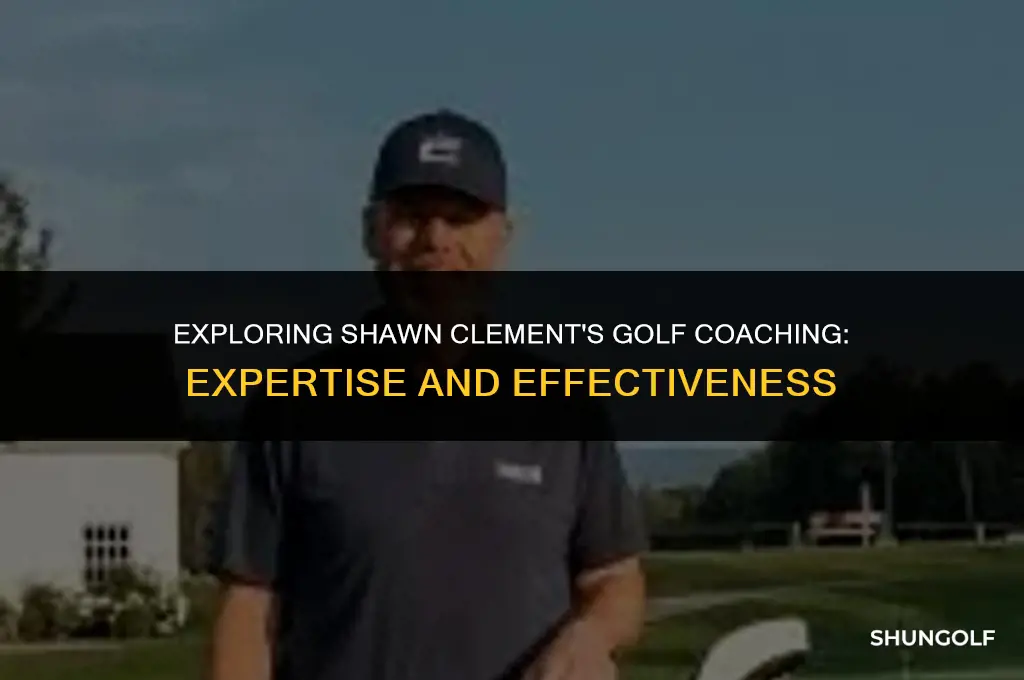 is shawn clement a good golf coach