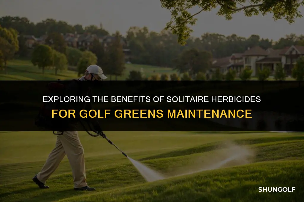 is solitare herbicides good for golf greens
